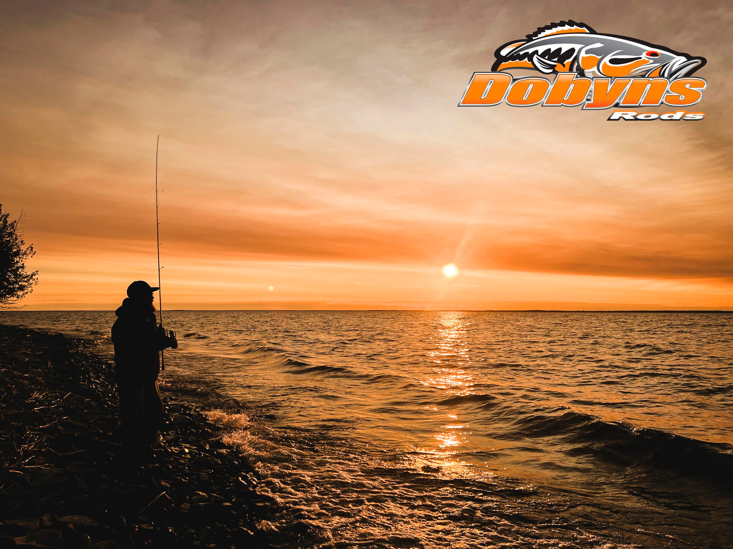 Dobyns Rods Champion XP Series